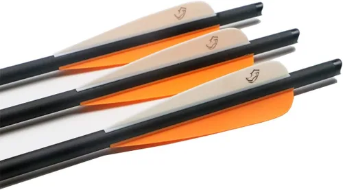 Miniatura 3 de Pernos de ballesta de carbono de 20 pulgadas, flechas de caza con paletas de 4 pulgadas y punta de flecha reemplazada (paquete de 12)
