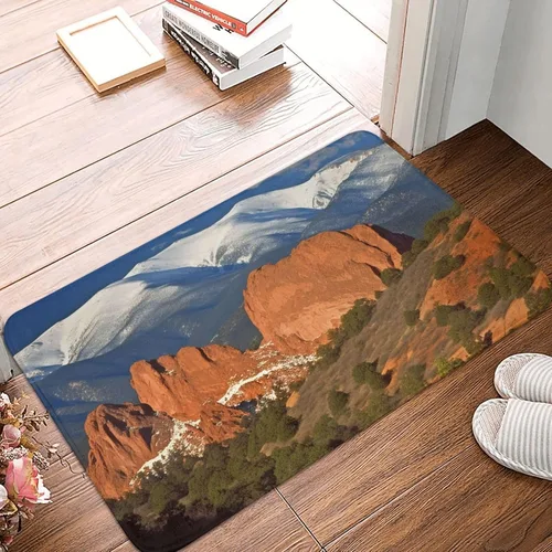 Miniatura 14 de Tapete para puerta delantera, estampado de peonías, primavera, tapete de bienvenida, absorbente, antideslizante, tapete de entrada suave, alfombra