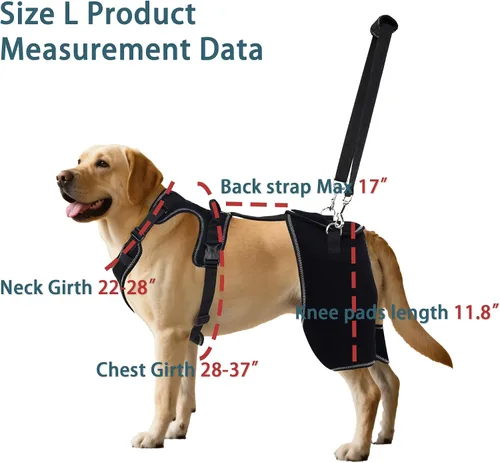 Miniatura 3 de Soporte de cadera para perro para displasia de cadera, soporte de cadera ajustable para perro con correa de elevación, alivio del dolor cálido