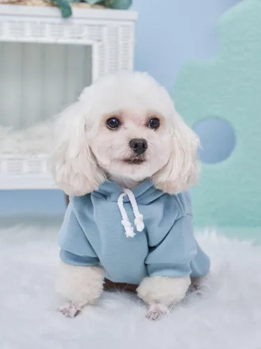 Miniatura 6 de QWINEE Sudadera básica con capucha para perro, suéter cálido para gatos, ropa para mascotas para Chihuahua, cachorro, gatito, perros pequeños y Gris
