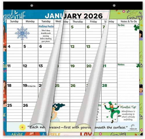 Calendario magnético para refrigerador 2026-2027 – Planificador de refrigerador de 24 meses, imanes fuertes, páginas extraíbles, bloques de