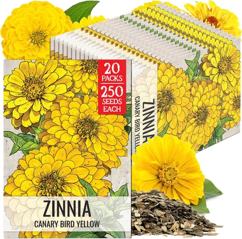 Miniatura 21 de Seed Needs California Giants - Semillas de zinnia – 250 semillas tradicionales para plantar Zinnia elegans – Cultiva flores anuales polinizadas