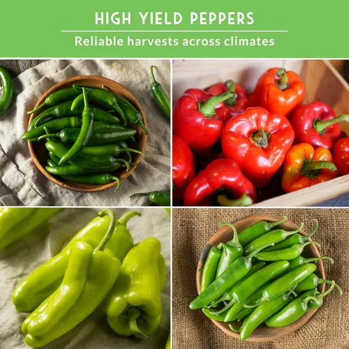 Miniatura 4 de 4 Colección de semillas de pimiento Jalapeño, Serrano, Cubanelle y California Wonder Semillas de pimientos picantes y dulces autóctonas sin