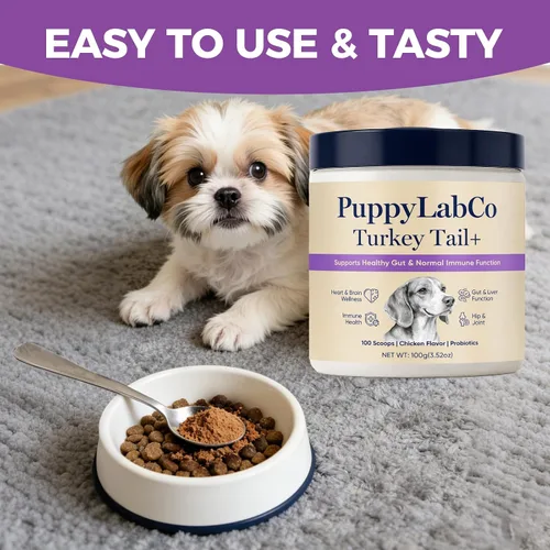Miniatura 3 de Puppy Lab Co Cola de pavo, PuppyLabCo - Hongo de cola de pavo para perros, hongo cola de pavo + probióticos, suplemento en polvo, sabor a pollo