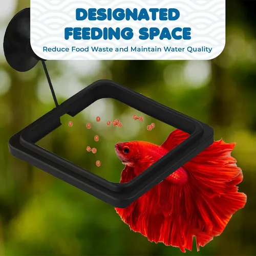 Miniatura 4 de SunGrow Anillo de alimentación de alimentos para peces, evita que las turbulencias del agua laven alimentos y plantas flotantes en el filtro