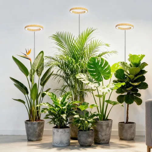 Miniatura 12 de Kullsinss Luces de cultivo para plantas de interior, luces de espectro completo para plantas de cultivo en interiores con temporizador de 6/12/16H