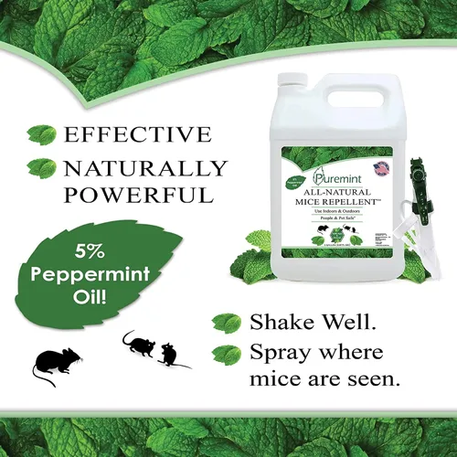 Miniatura 2 de Puremint Repelente de ratones, espray de aceite de menta natural al 5% para ratones, ratones, ratas y roedores, espray de control de plagas