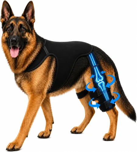 Miniatura 10 de Rodillera para perro para patas traseras/traseras (ACL/CCL) - Soporte de doble pierna con 4 estabilizadores metálicos y arnés antideslizante
