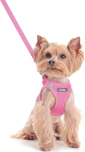 Miniatura 11 de rabbitgoo Juego de arnés para perro de tamaño pequeño y correa, chaleco ligero suave para cachorro, arnés de malla transpirable para mascotas