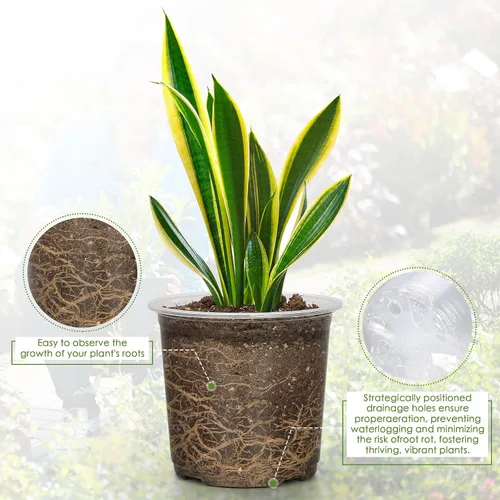 Miniatura 3 de FUIJOL Macetas transparentes de 4 pulgadas para plantas con platillos, paquete de 15, macetas de plástico con agujeros de drenaje, paquete variado