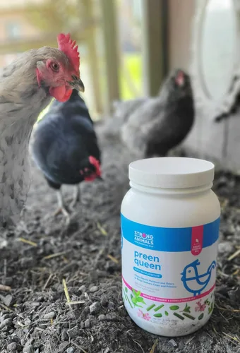 Miniatura 4 de Strong Animals Preen Queen - Aditivo de baño de polvo de pollo, baño de polvo de aves de corral para pollos con aceites de menta y citronela, ayuda
