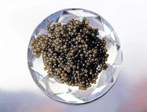 Miniatura 3 de $36 oz. Caviar de esturión Kaluga, calidad premium 8 oz 8.01 oz