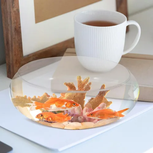 Miniatura 3 de Happyyami Jarrón de vidrio para peces de cristal, cuenco transparente de boca ancha, jarrón redondo, terrario, planta de aire, maceta hidropónica