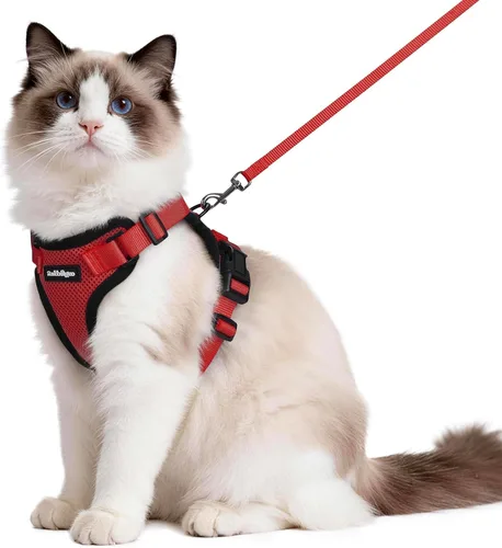 Miniatura 21 de rabbitgoo Juego de arnés y correa para gatos, arnés a prueba de escapes para paseos seguros al aire libre, chaleco suave transpirable ajustable