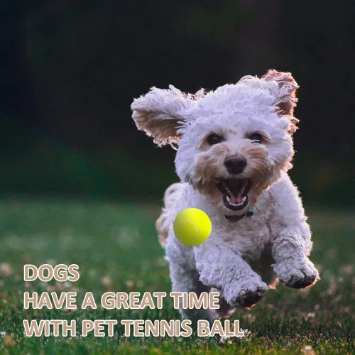 Miniatura 5 de ptlsy Paquete de 16 pelotas de tenis para perros pequeños y medianos (2 pulgadas)