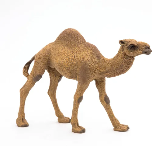 Miniatura 3 de Papo - Figura de dromedario realista - A partir de 3 años - Colección Wild Life - Juego educativo de animales del desierto - Juguete de idea