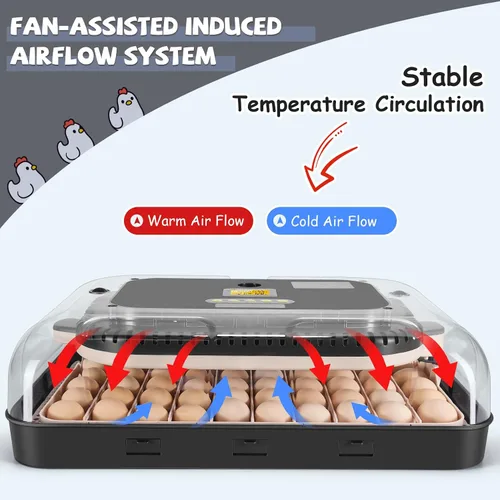 Miniatura 3 de Sailnovo Incubadora de 70 huevos para incubar huevos con giro automático de huevos y humidificación automática, control de temperatura, vela