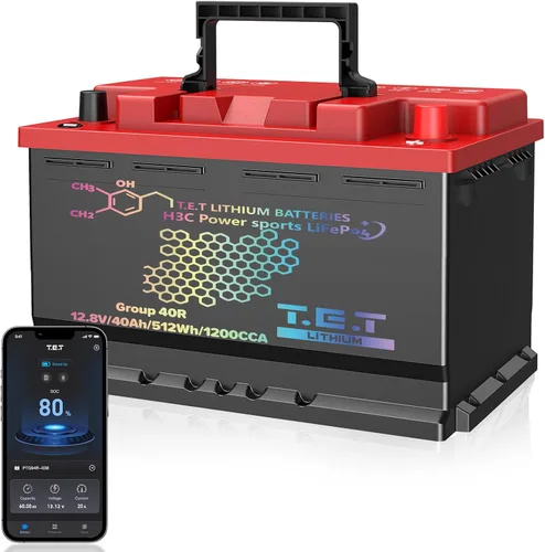 Miniatura 14 de TET - Baterías de arranque y parada para coche BCI Group 24, batería automotriz sin mantenimiento, 12.8 V, 60 Ah, 768 Wh 1500 CCA