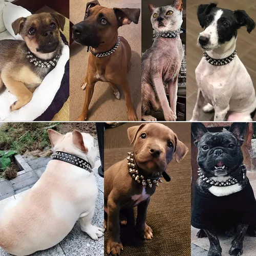 Miniatura 3 de Teemerryca - Collares para perro, ajustables, de piel de microfibra con púas punzantes y una pelota chillona de regalo, para mascotas pequeñas, Negro