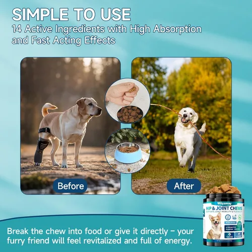 Miniatura 4 de Glucosamina para perros, 200 unidades de suplemento de cadera y articulaciones de perro con MSM, condroitina, vitaminas C y E, suplemento