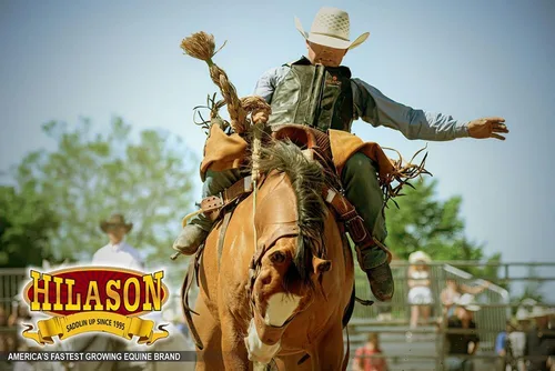 Miniatura 2 de HILASON Chaleco de seguridad para montar toros de cuero protector Granate Equestrian Unisex Rodeo Men & Women