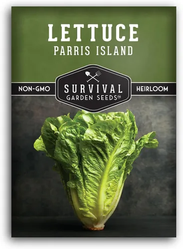 Semillas de lechuga romana para plantar, variedad de reliquia de Parris Island Cos con cabezas crujientes y tiernas, tolerantes al calor, lechuga