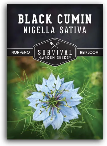 Survival Garden Seeds Nigella Sativa Semillas de comino negro para plantar, 1 paquete | Té medicinal de semillas negras y especias culinarias,
