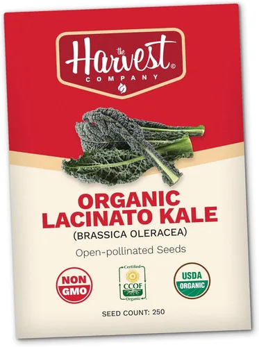 The Harvest Company Semillas orgánicas de col rizada Lacinato, sin OMG, certificadas orgánicas USDA, semillas de jardín de polinización abierta para