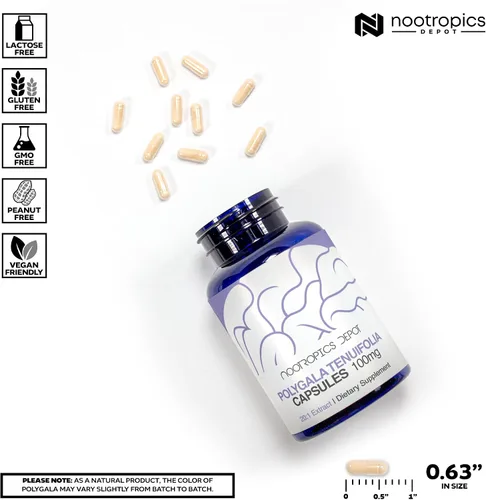 Miniatura 3 de Nootropics Depot Polygala tenuifolia Cápsulas 100 mg 90 unidades Extracto 20:1 Yuan Zhi Promueve la función cognitiva, el aprendizaje