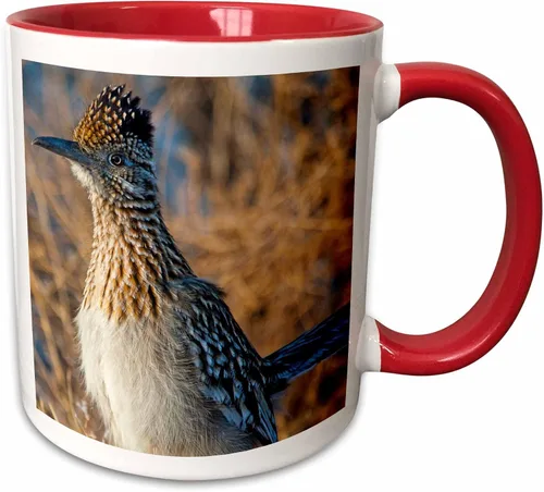 Miniatura 7 de 3dRose Roadrunner bird, Bosque del apache NWR, New Mexico-US32 CHA0044-Chuck Haney - Taza de dos tonos, 11 onzas, negro/blanco
