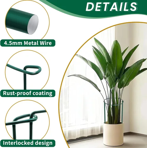 Miniatura 4 de TCBWFY Paquete de 10 estacas de soporte para plantas de peonía, 10 pulgadas de ancho x 24 pulgadas, jaulas de peonía de alta resistencia de 0.177 in
