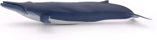 Miniatura 5 de Papo - Figura realista de ballena azul para niños - A partir de 3 años - Colección de vida marina - Juego educativo de mamíferos marinos - Juguete