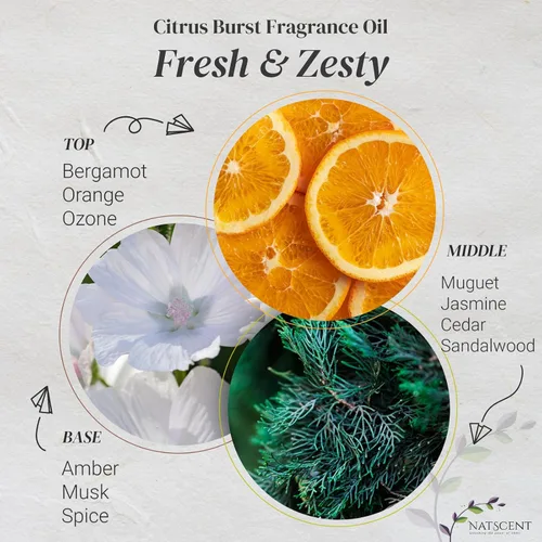 Miniatura 4 de Citrus Burst - Aceites esenciales para difusores para el hogar, aceite esencial de cítricos derivados de la naturaleza, aceites difusores de larga