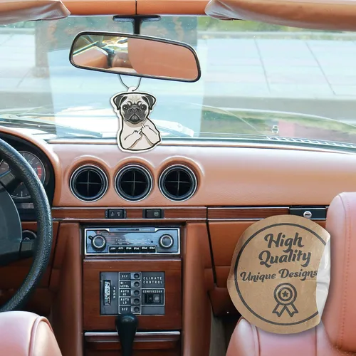 Miniatura 4 de Coul't Care Less Ambientadores de coche perfumados con aceites esenciales, paquete de 5 (aromas mixtos)