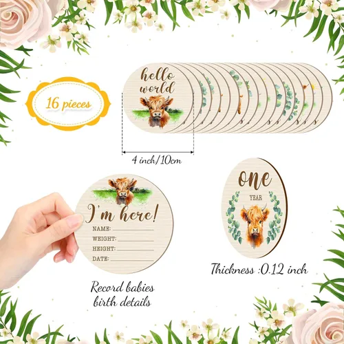 Miniatura 3 de Tiamon 16 tarjetas mensuales de madera para bebé, discos de marcador de hitos mensuales, círculos de madera de doble cara, letreros de meses