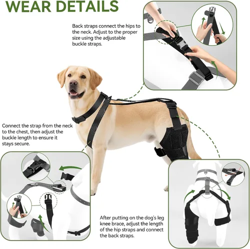 Miniatura 5 de Rodillera de perro para pierna trasera, soporte ajustable para piernas de perro para desgarro de ACL, soporte de pierna trasera, estabilidad