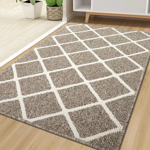 Miniatura 47 de Finchitty Alfombra para Puerta Interior, Resistente a la Suciedad y Absorbente, de Perfil Bajo, Antideslizante, Lavable, Alfombras de Piso