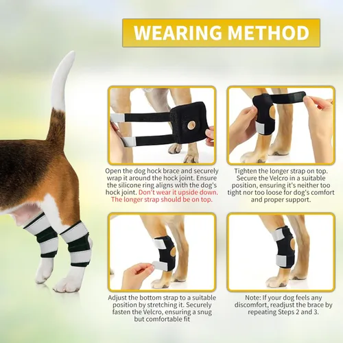 Miniatura 4 de AGON Par de soporte trasero para perro con cuerdas de metal y envolturas reflectantes, correas de compresión para la pierna trasera canina protege