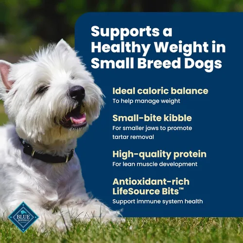 Miniatura 3 de Blue Buffalo Life Protection Formula Peso Saludable Alimento Seco Natural para Perros de Raza Pequeña, Apoya un Peso Ideal, Hecho con Ingredientes