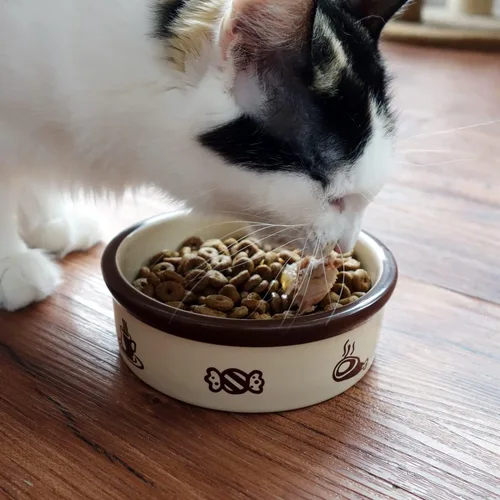 Miniatura 2 de TTCAT Cuenco de cerámica para gatos, bonito patrón de dibujos animados, cuenco básico, platos pequeños de alimentación de mascotas para gatos, Tazón