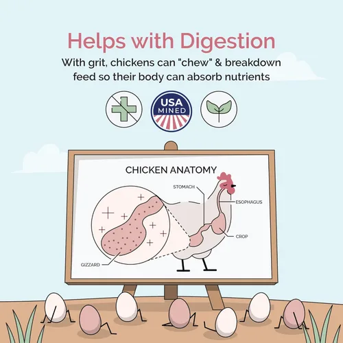 Miniatura 4 de Mile Four Grano de pollo (50 libras) para pollos en capas y cultivadores de 8 a 20 semanas o más, 100 % mineral natural de grano de pollo, cuarcita