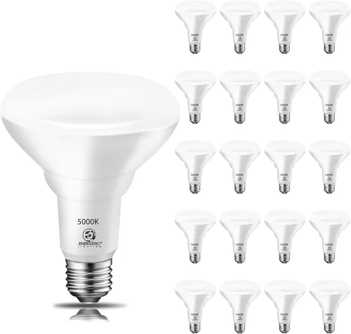 Energetic BR30 - Foco LED para interiores de 8.5 W, equivalente a 65 W, 650 LM, luz diurna de 5000 K, base E26, 15000 horas de vida útil, bombillas