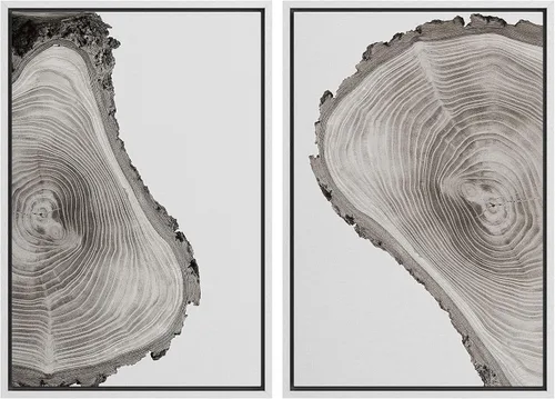 Miniatura 101 de SIGNWIN Lienzo enmarcado para pared, juego de arte con anillos de árbol de bosque grunge en blanco y negro, ilustraciones de naturaleza silvestre