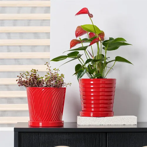 Miniatura 5 de Macetas Ton Sin, macetas de 6 pulgadas para plantas, maceta de cerámica con agujeros de drenaje, macetas de interior con platillo, macetas de jardín