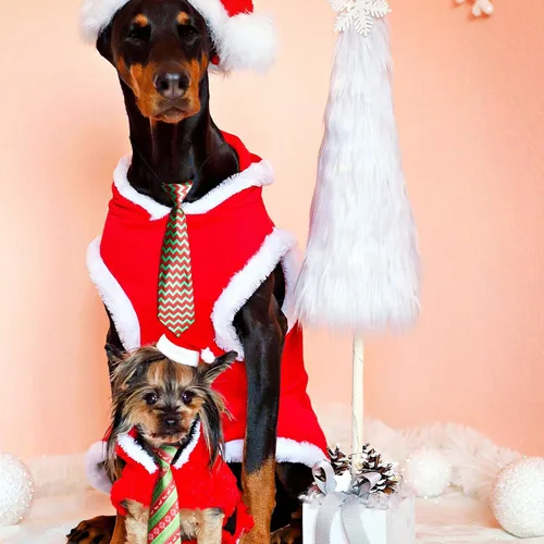 Miniatura 5 de Syhood 12 lazos grandes de Navidad para perros, corbatas grandes de Navidad para mascotas, árbol de Navidad, muñeco de nieve, copo de nieve