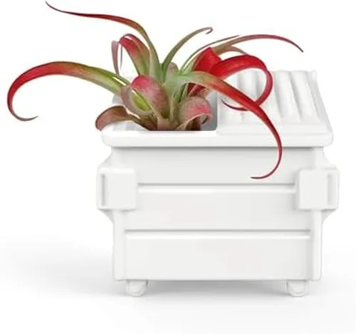 Fred Fancy Plants - Soporte para plantas de aire en forma de contenedor – Maceta de cerámica única para Tillandsia y plantas de aire pequeñas –