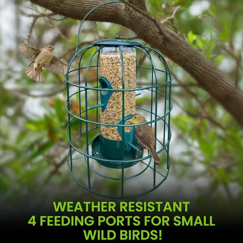 Miniatura 2 de Garden Guru - Comedero para pájaros a prueba de ardillas, tubo enjaulado para colgar al aire libre con 4 perchas para pájaros silvestres pequeños