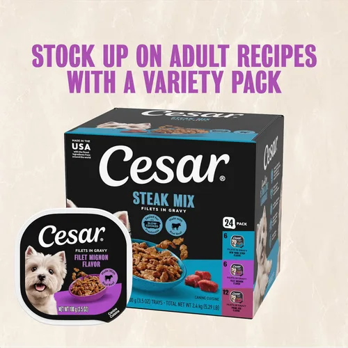 Miniatura 12 de Cesar Filetes en Salsa, Comida Húmeda para Perros Adultos, Sabor Filete Mignon, Comida Húmeda para Perros, Bandejas de 3.5 onzas, 24