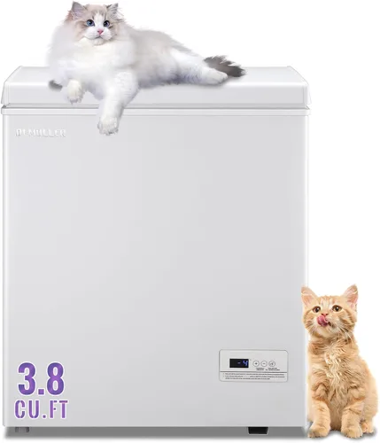 Miniatura 10 de DEMULLER Congelador profundo de 3.5 pies cúbicos con panel de visualización de temperatura, mini congelador con cesta extraíble, adecuado