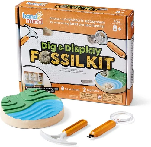 hand2mind - Kit de excavación de fósiles para excavar y exhibir, vitrina de fósiles, 8 fósiles reales para descubrir, kits de excavación para niños,